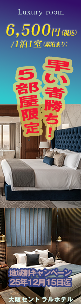 都会のラグジュアリーホテルに泊まる限定５部屋の格安プラン